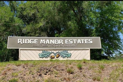 HARDSTONE DRIVE WEBSTER FL 33597