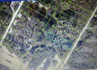 RIDGE MANOR ESTATE - Land