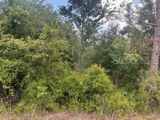 RIDGE MANOR ESTATE - Land