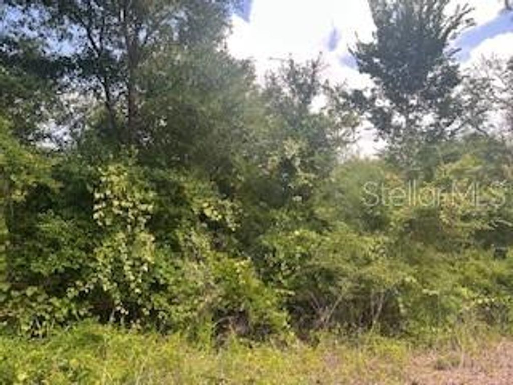 Photo of Hardstone Drive, Webster, FL 33597 (MLS # G5097782)