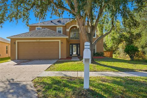 Photo of 31518 Earn Drive, Wesley Chapel, FL 33545 (MLS # O6369533)