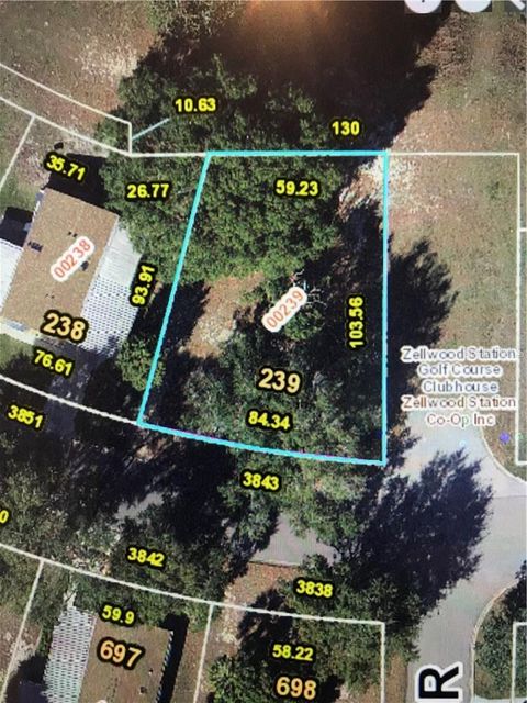 3843 N CITRUS CIRCLE 239 ZELLWOOD FL 32798