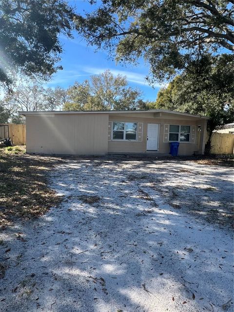 8507 GRAPEFRUIT AVENUE TAMPA FL 33619