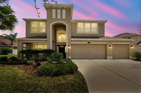 10837 BREAKING ROCKS DRIVE TAMPA FL 33647