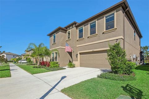 A home in LITHIA