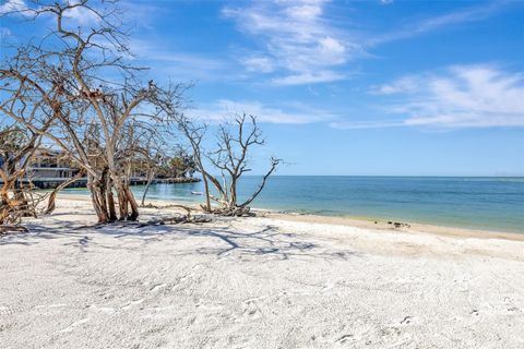 A home in SARASOTA