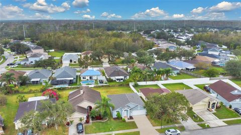 A home in LAND O LAKES