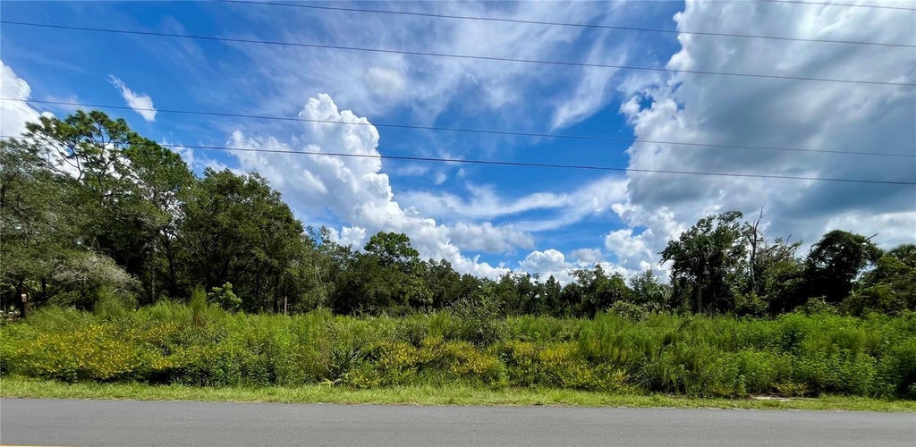Photo of 12362 W Riverwood Drive, Crystal River, FL 34428 (MLS # TB8542306)