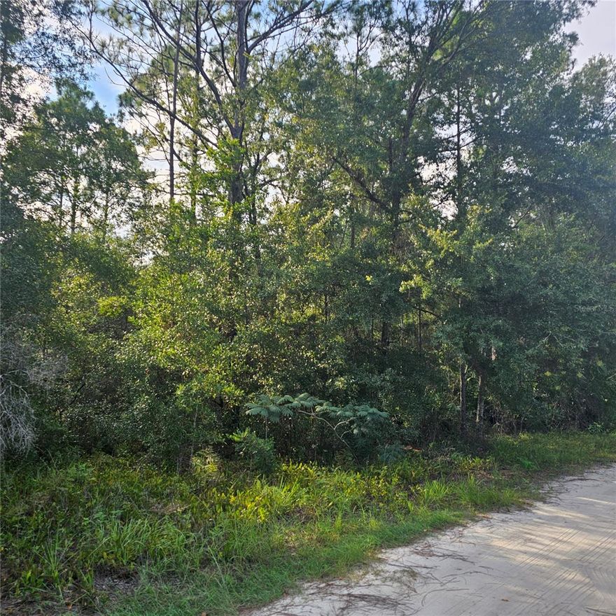 Just over two acres 264×334 rural area allows mobile homes not a deed restricted area. Lot is wooded but come take a look and see if its for you.