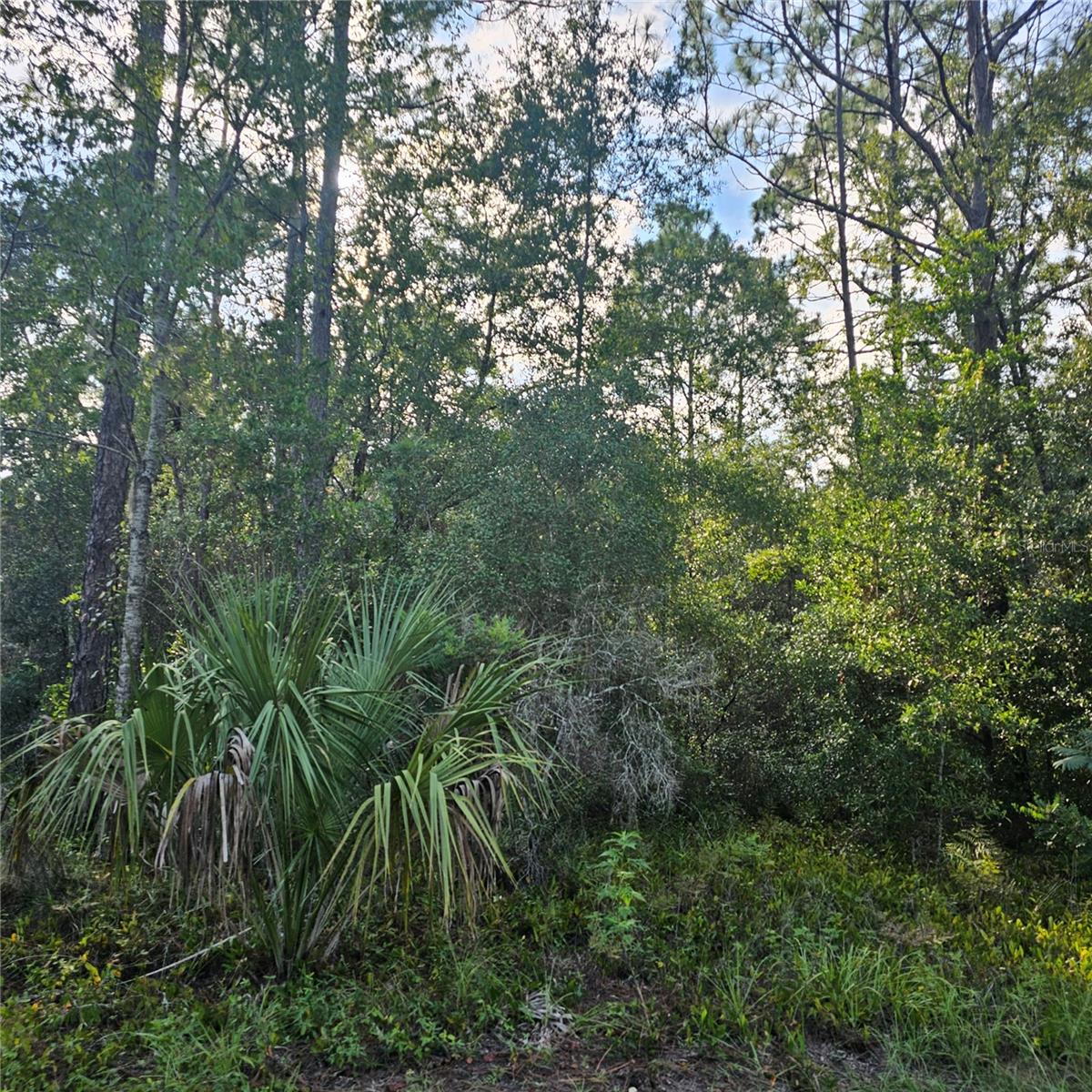 LIV ACRES UNREC SUB - Land