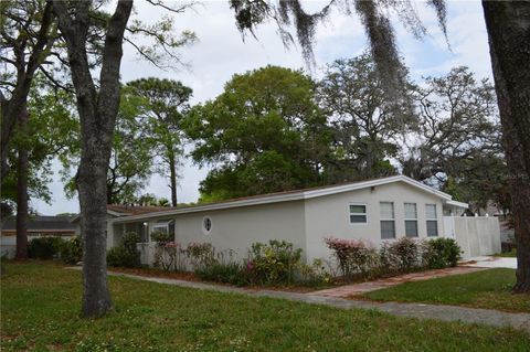 A home in TAMPA