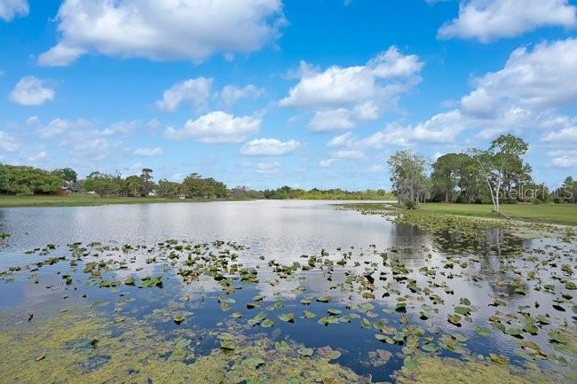 TRIPLET LAKE SHORES ADD REP OF BLK D - Residential