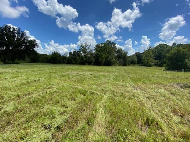 Available 5.42 acres off Morris Bridge Road in New River Ranchette between Highway 56 and Cross Creek Blvd. The land is currently zoned Agriculture Residential with a future land use of RES1 (one home per acre). Current zoning will permit farm animals with no restrictions on number of pets or size. New River Ranchette has no HOA or CDD and is surrounded by Master Planned Communities with city amenities, shopping, schools and the Interstate just minutes away. Large parcels in the area are rare so don’t miss out on the opportunity to invest in New River Ranchette.