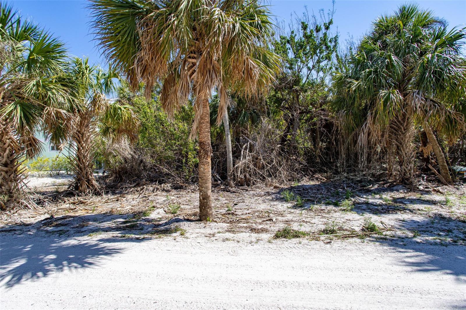 Welcome to Don Pedro / Palm Island – Your Slice of Old Florida Paradise
This vacant lot offers a rare opportunity to build your dream home on one of the widest and deepest canals on the island—perfect for boating enthusiasts (a catamaran is just two houses down!). Nestled on one of the quietest roads on the island, you'll enjoy peaceful surroundings with only the occasional neighbor or golf cart passing by.
Access the island by private boat or via the convenient car ferry—either way, you're arriving at a truly special place. Don Pedro/Palm Island is known for its authentic Old Florida charm, with uncrowded white-sand beaches, spectacular sunsets, and a relaxed island lifestyle.
Whether you're looking for a tranquil retreat or an active waterfront home base, this lot is ready for you to build the coastal getaway you've always envisioned.