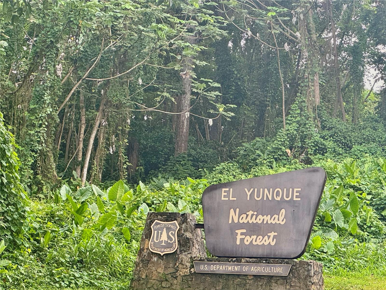 LAS PICUAS - Residential