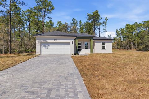 Photo of 3737 W Capricorn Lane, Citrus Springs, FL 34433 (MLS # O6393307)
