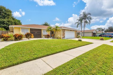 A home in SARASOTA