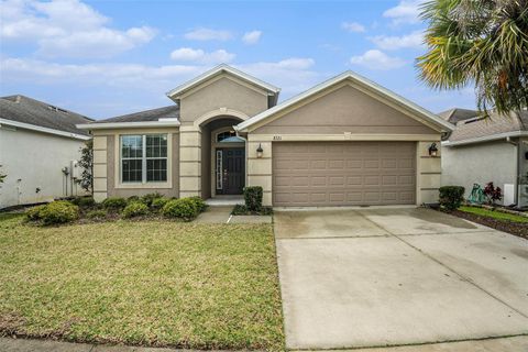 Single Family Residence in RIVERVIEW FL 8321 WILLOW BEACH DRIVE.jpg