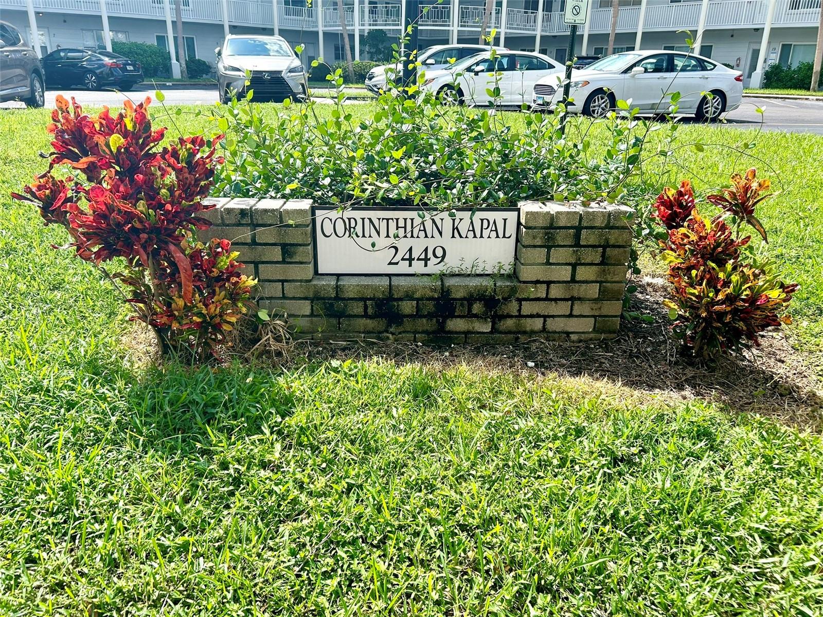 2449 COLUMBIA DRIVE 55