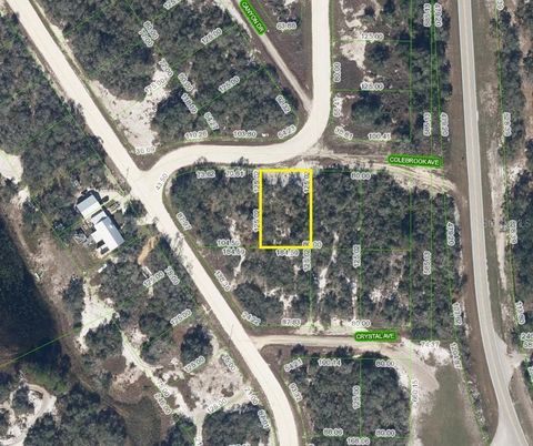 103 COLEBROOK AVENUE LAKE PLACID FL 33852