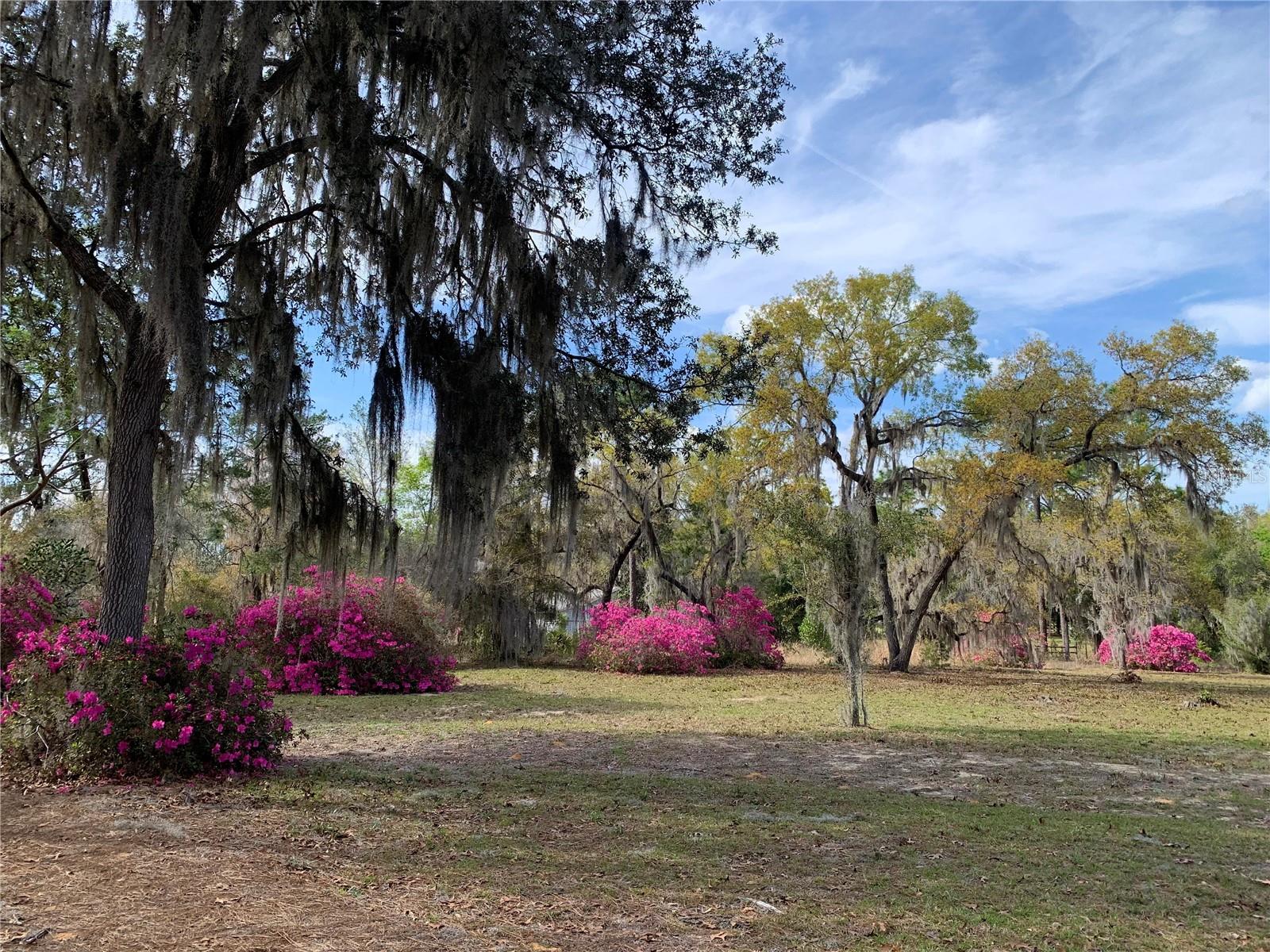 CEDAR LANDING - Residential
