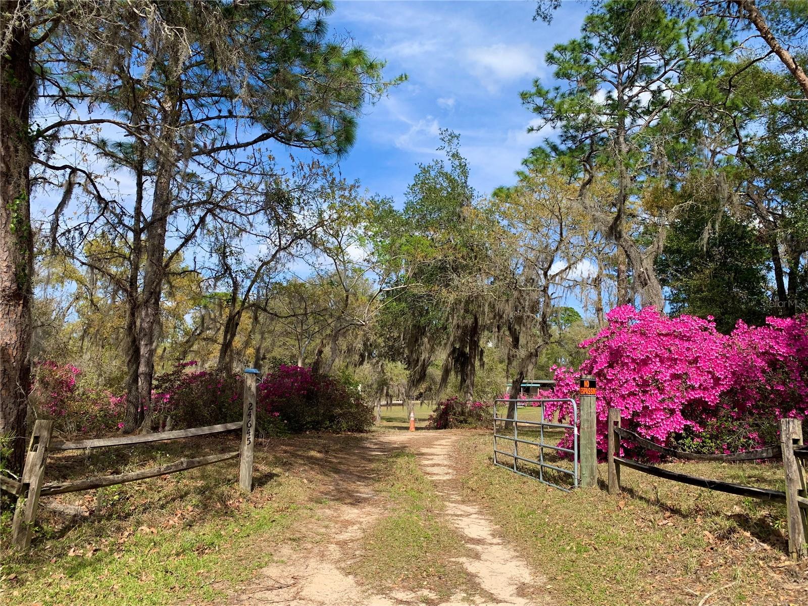 CEDAR LANDING - Residential