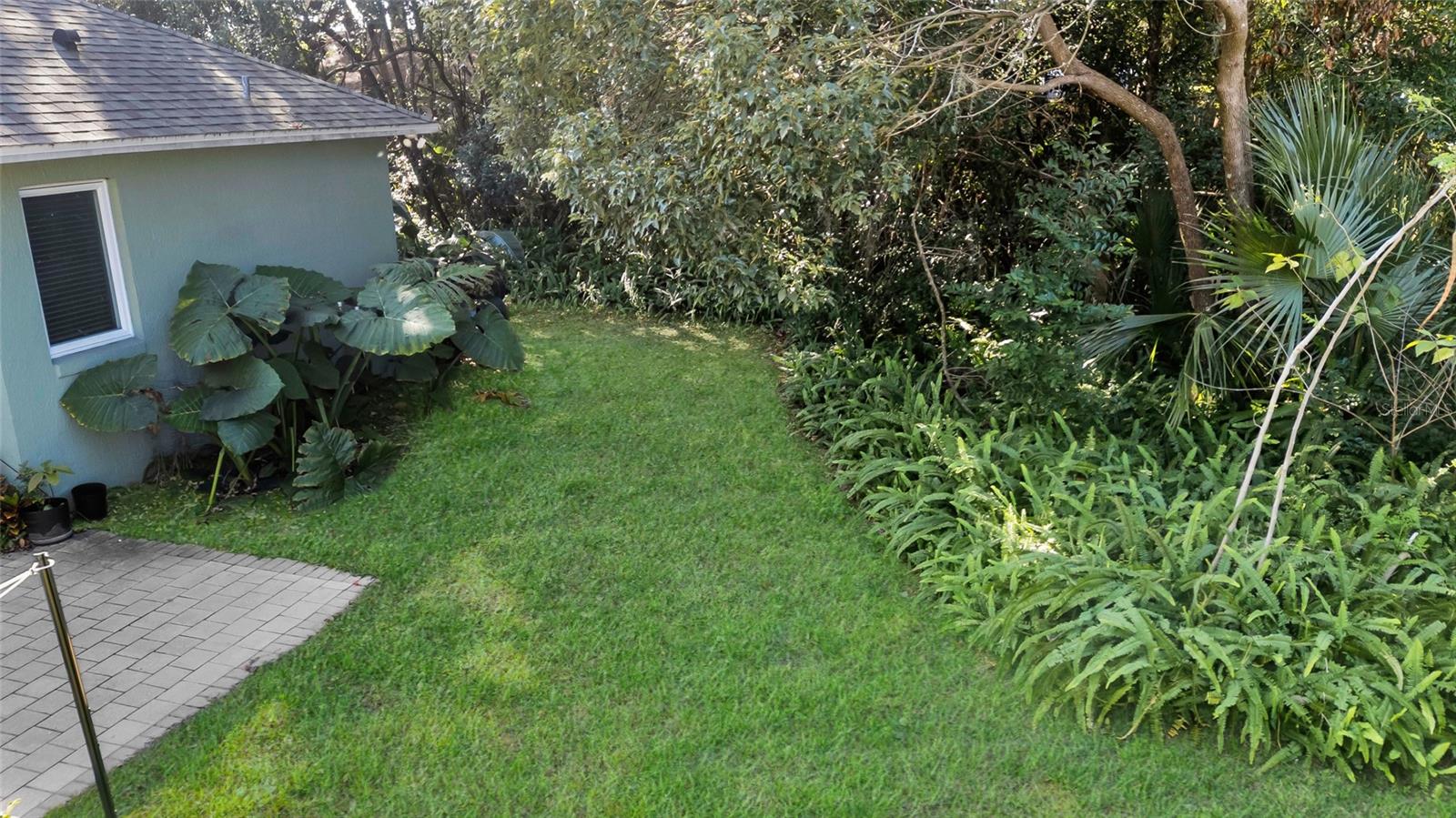 MOUNT PLYMOUTH - Residential