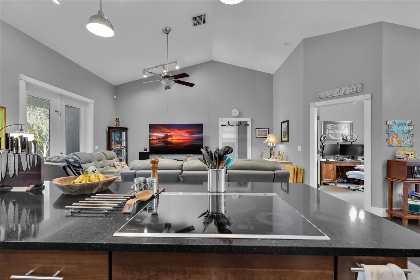 MOUNT PLYMOUTH - Residential