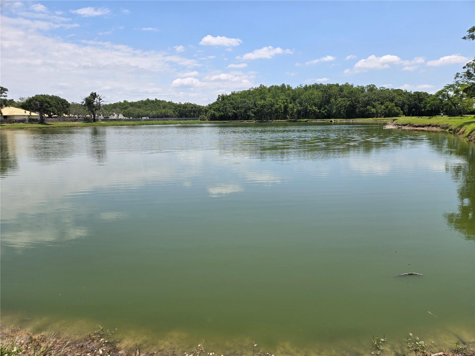 CYPRESS LAKES CORPORATE CENTER COMM CONDO - Commercial Sale