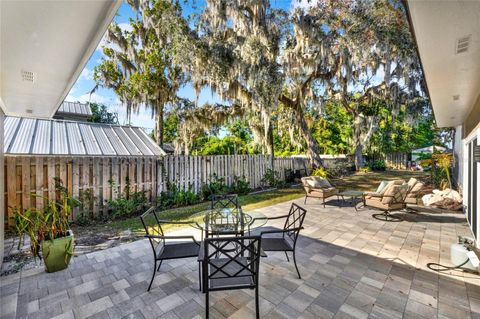 A home in MOUNT DORA