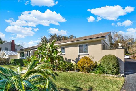 A home in MOUNT DORA