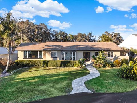 A home in MOUNT DORA