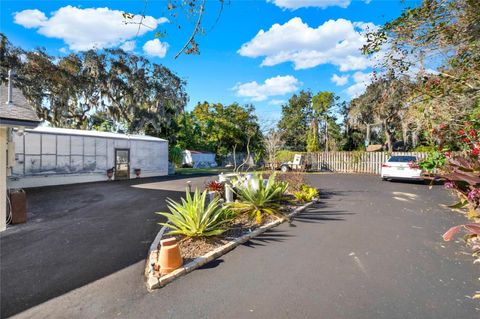 A home in MOUNT DORA