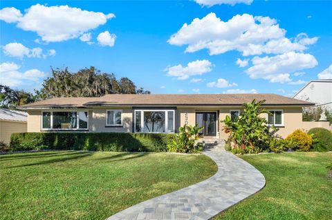 A home in MOUNT DORA