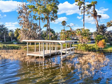 A home in MOUNT DORA