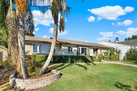 A home in MOUNT DORA