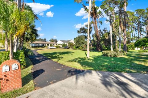 A home in MOUNT DORA