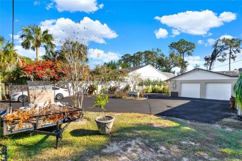 A home in MOUNT DORA