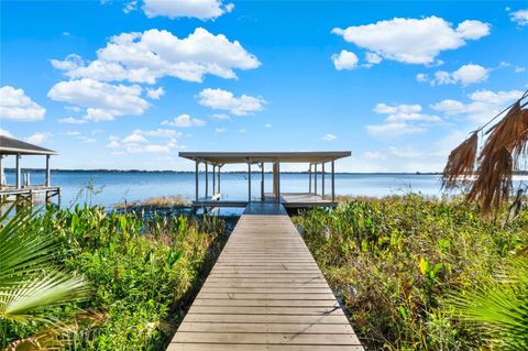 A home in MOUNT DORA