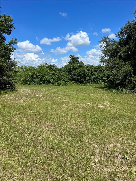 GREAT BLUE HERON ESTATES - Land