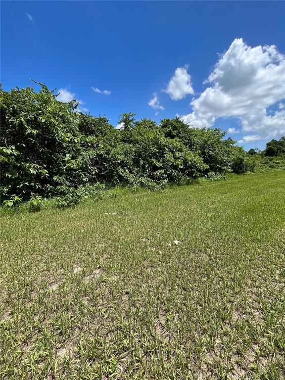 GREAT BLUE HERON ESTATES - Land