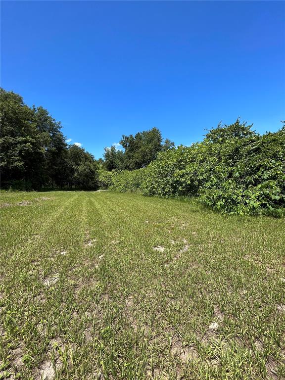 GREAT BLUE HERON ESTATES - Land