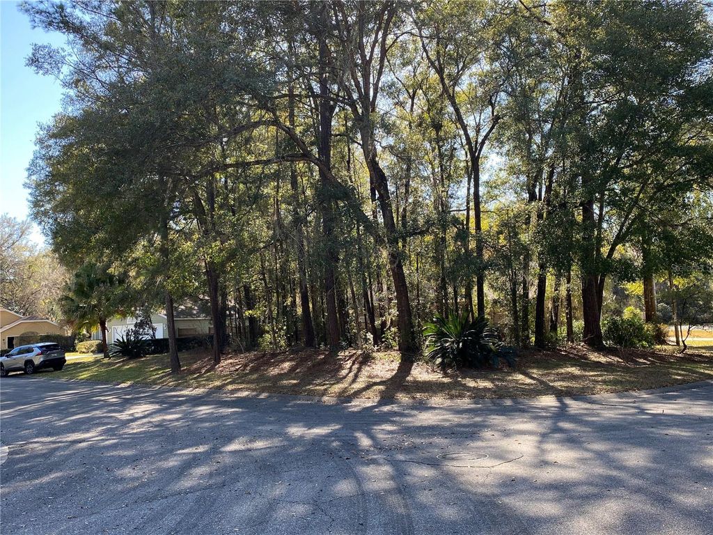 Photo of 12345 NW 10th Place, Newberry, FL 32669 (MLS # GC538372)