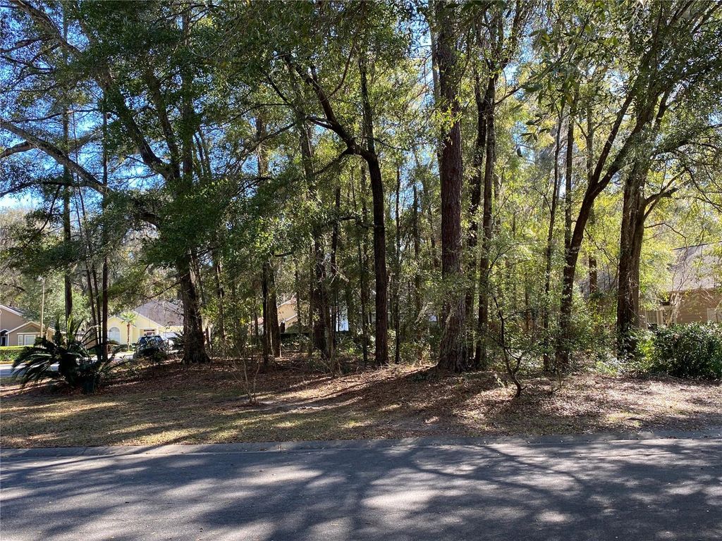 Photo of 12345 NW 10th Place, Newberry, FL 32669 (MLS # GC538372)