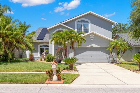1213 BARMERE LANE BRANDON FL 33511