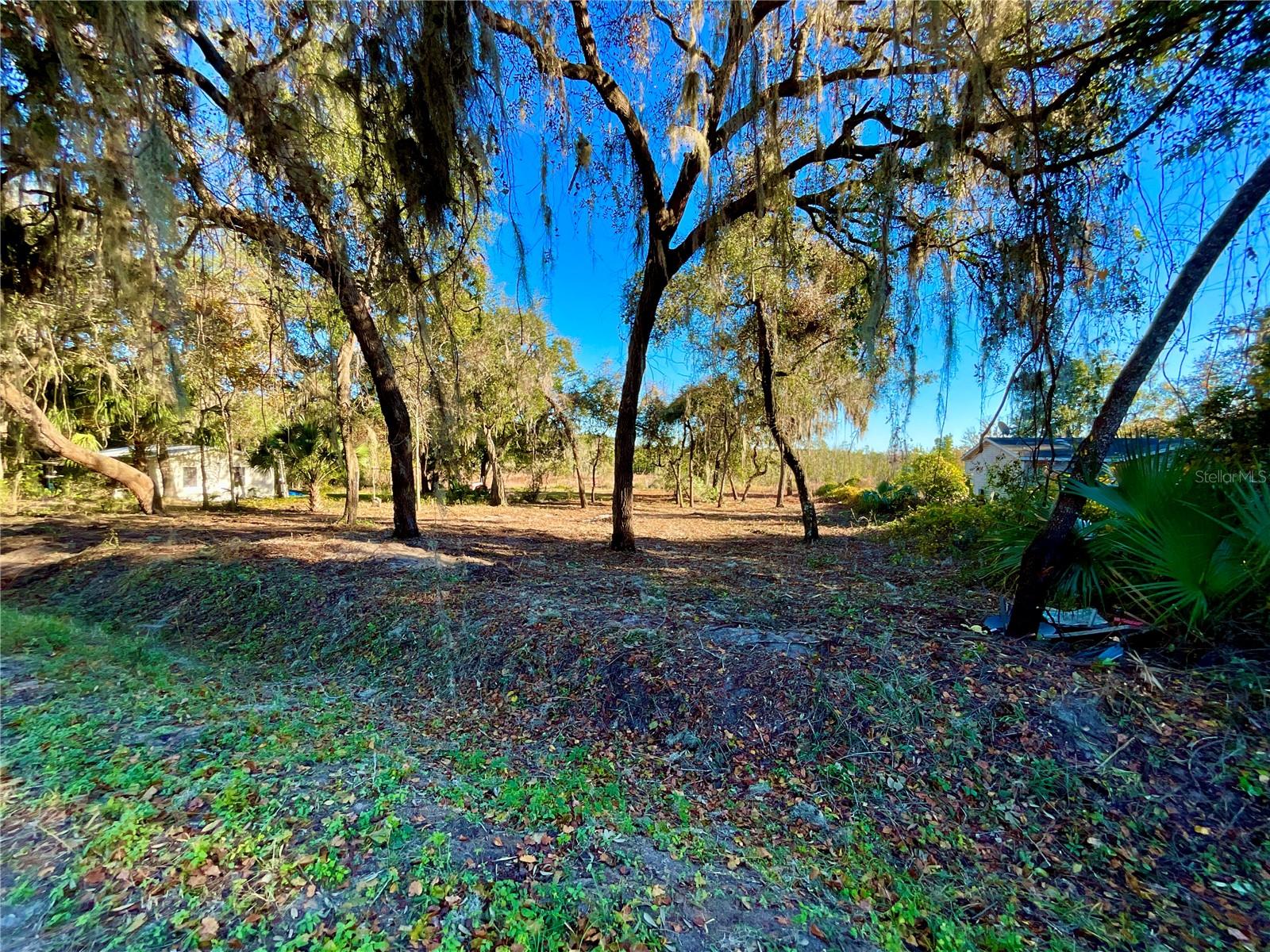Lot 66 & Lot 67 Ashley STREET