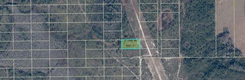 Photo of Dill Road, Orlando, FL 32820 (MLS # O6416914)