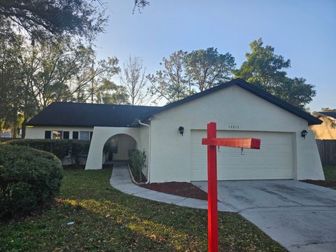 14013 BRIARDALE LANE TAMPA FL 33618