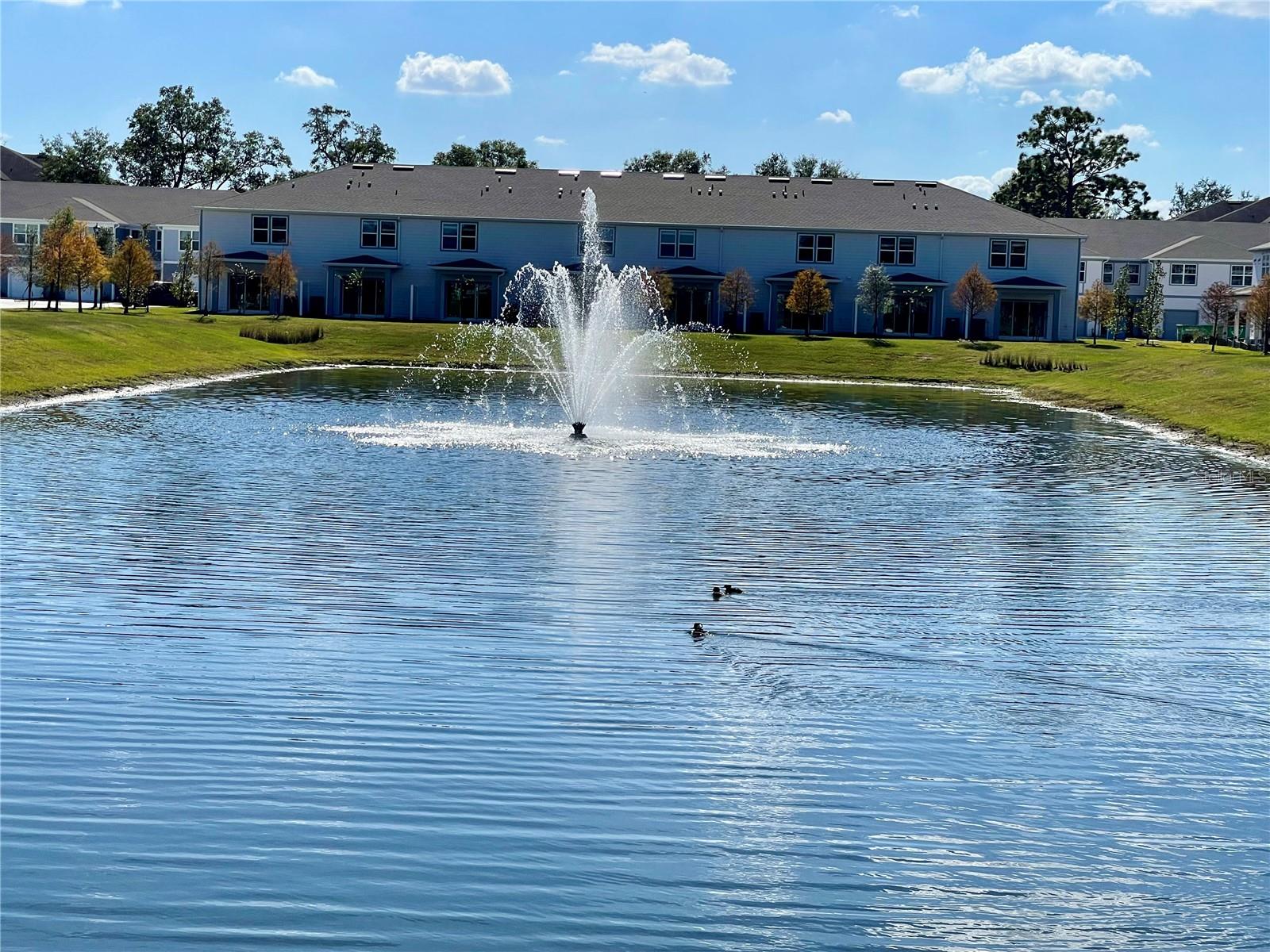 GRAYSON SQUARE - Residential Lease