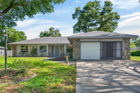 Photo of 2393 W Fairway Loop, Citrus Springs, FL 34434 (MLS # OM722971)